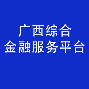广西综合金融服务平台